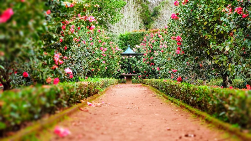Cover image for Best Weather Stations for Gardeners