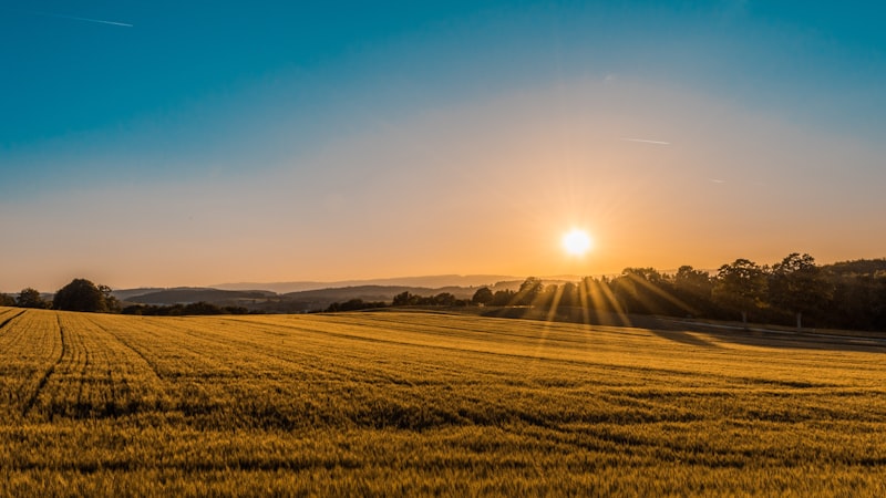 Cover image for Best Weather Stations for Remote Properties